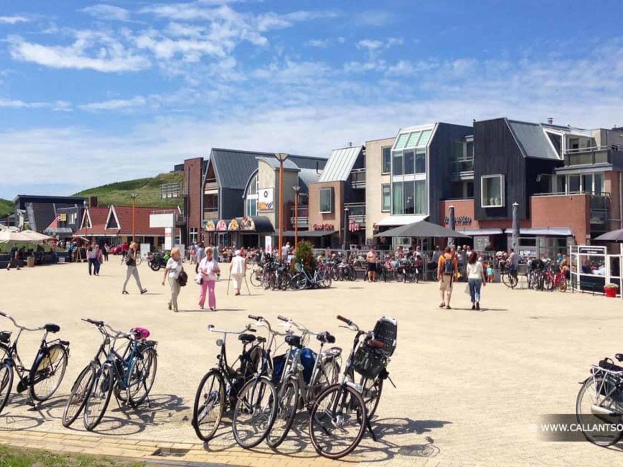 Gorgeous Holiday Home By The Beachside Callantsoog Eksteriør bilde