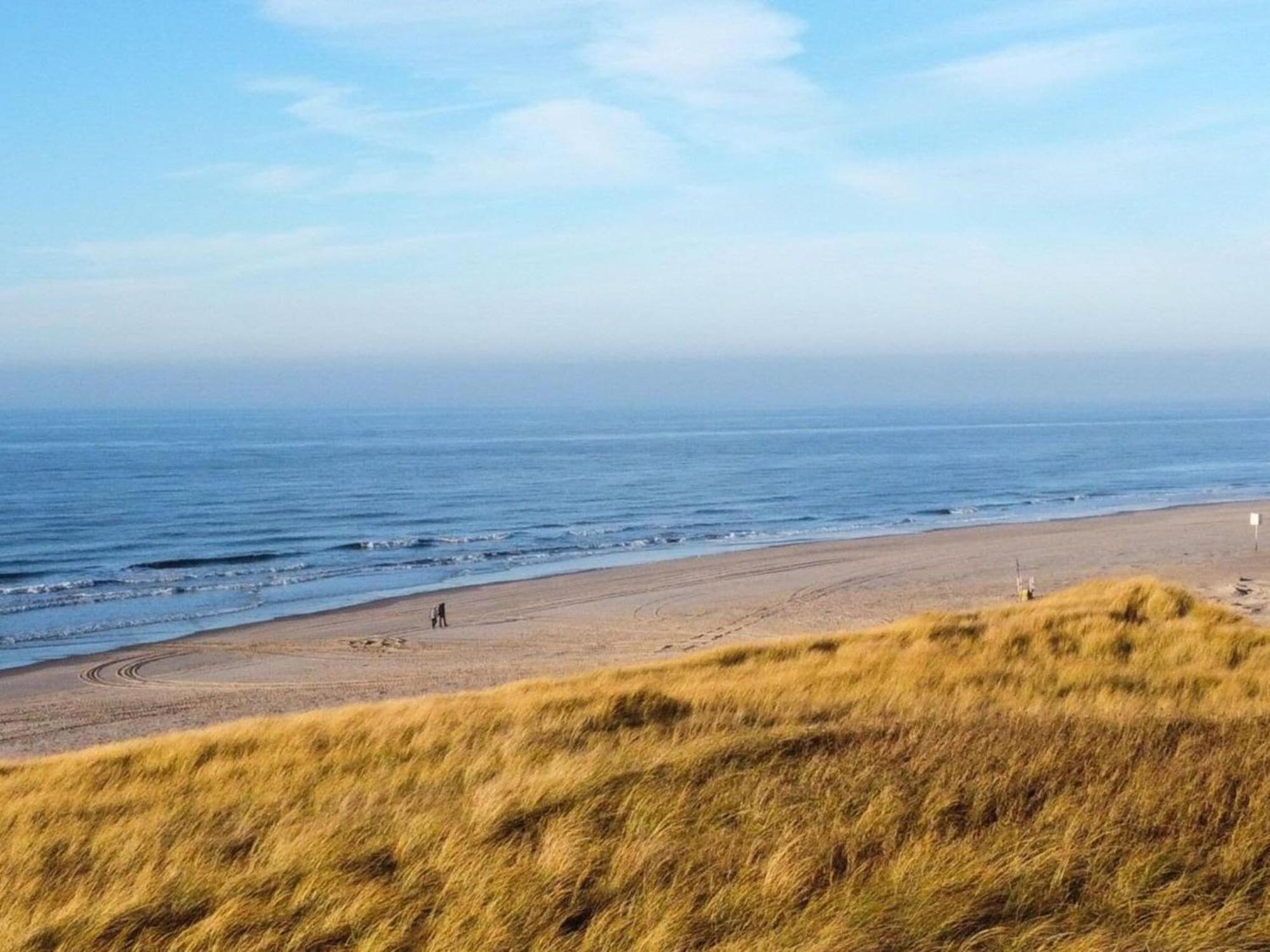 Gorgeous Holiday Home By The Beachside Callantsoog Eksteriør bilde